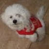 hurley3627